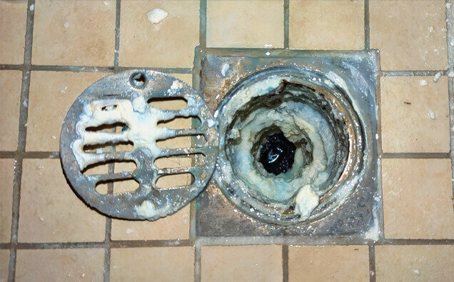 https://blockeddrainseastperth.com.au/uploads/2025/07/blocked-shower-drains-33151.jpg