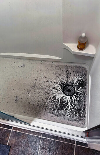 https://blockeddrainseastperth.com.au/uploads/2025/07/blocked-shower-drains-83587.jpg