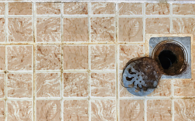 https://blockeddrainseastperth.com.au/uploads/2025/07/blocked-shower-drains-91576.jpg